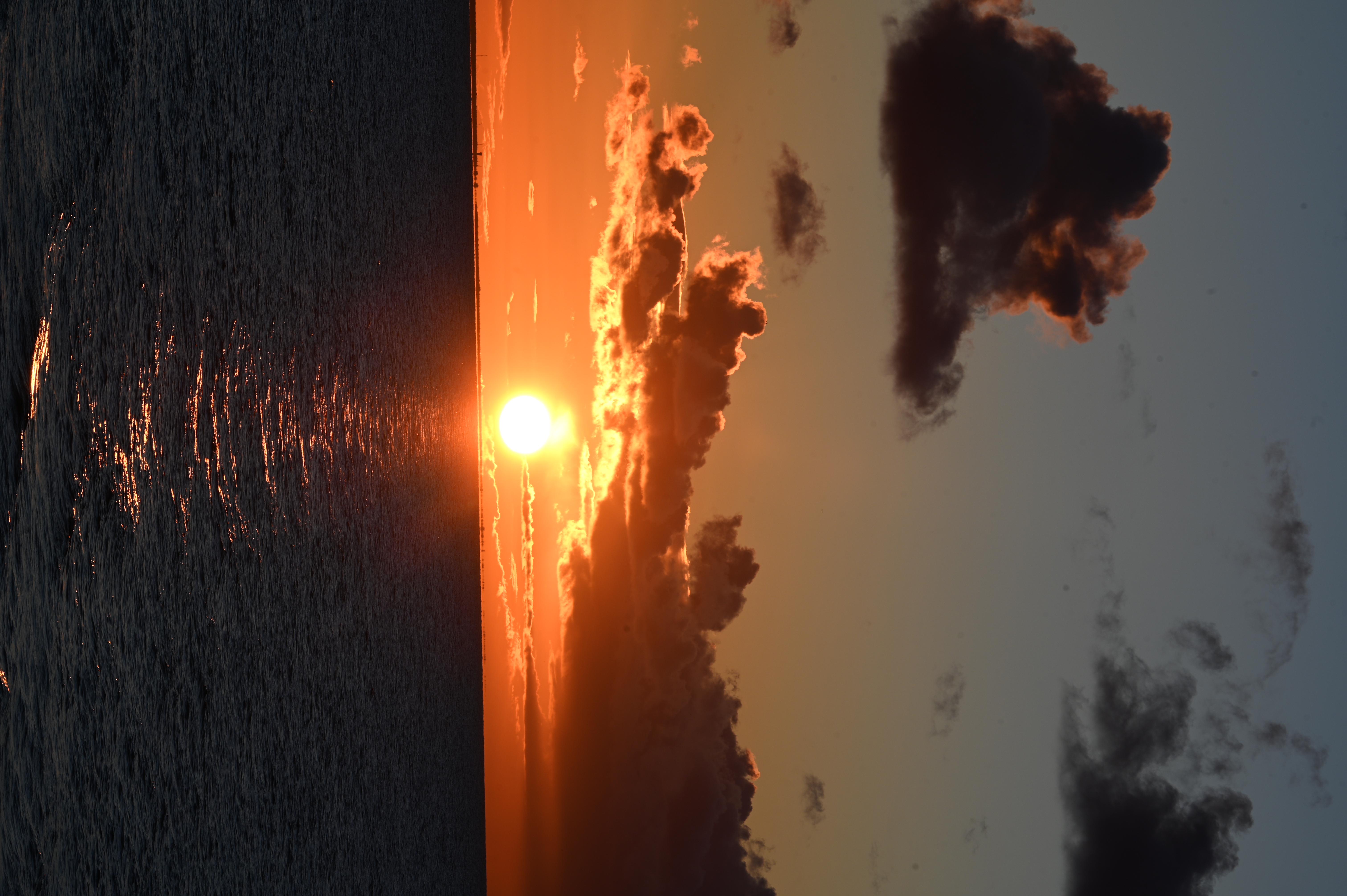 2025/10/18 - walk/DSC_0442.JPG